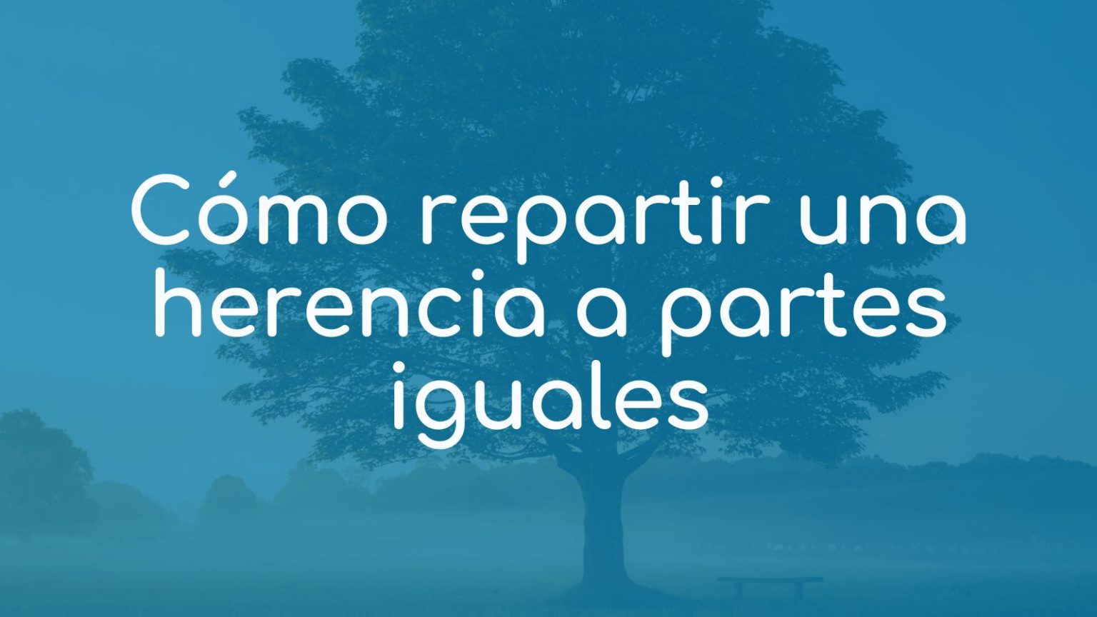 Cómo Repartir Una Herencia A Partes Iguales